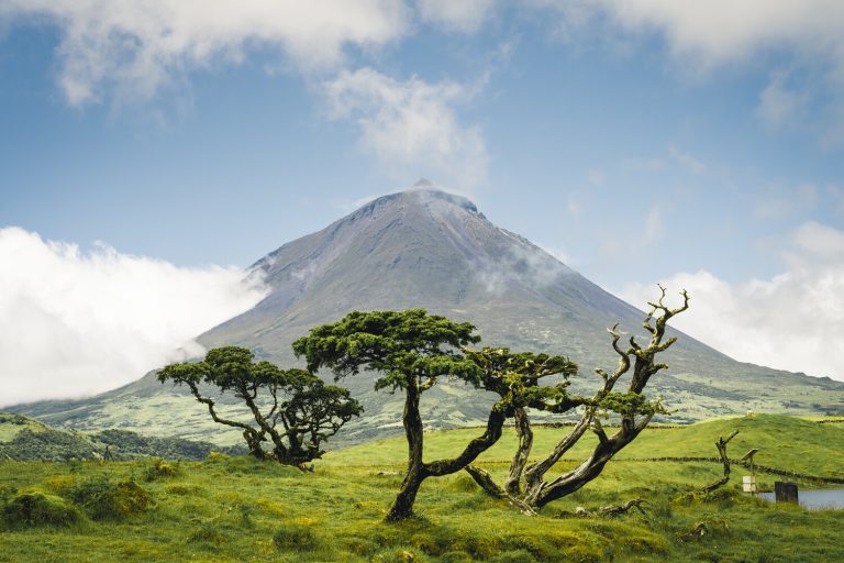 AdobeStock_282407528-1500x1000